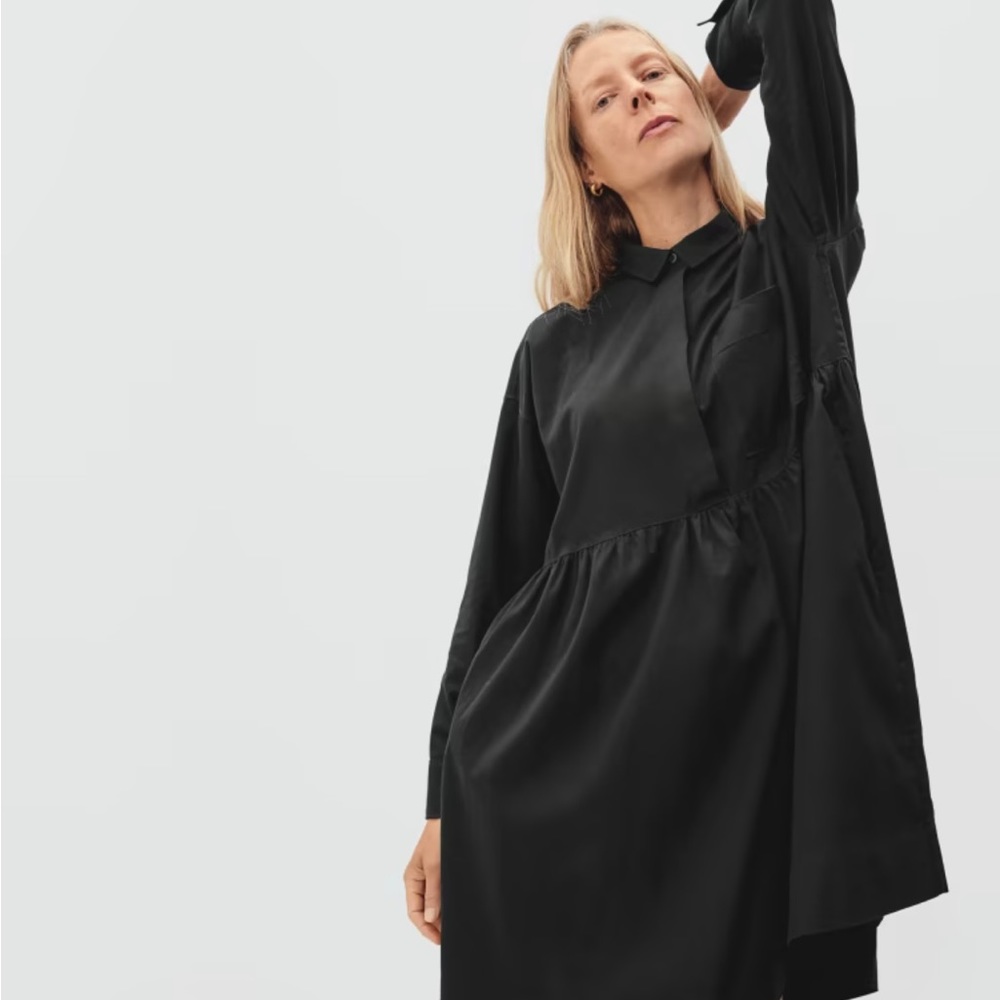 NWT Everlane Field Dress